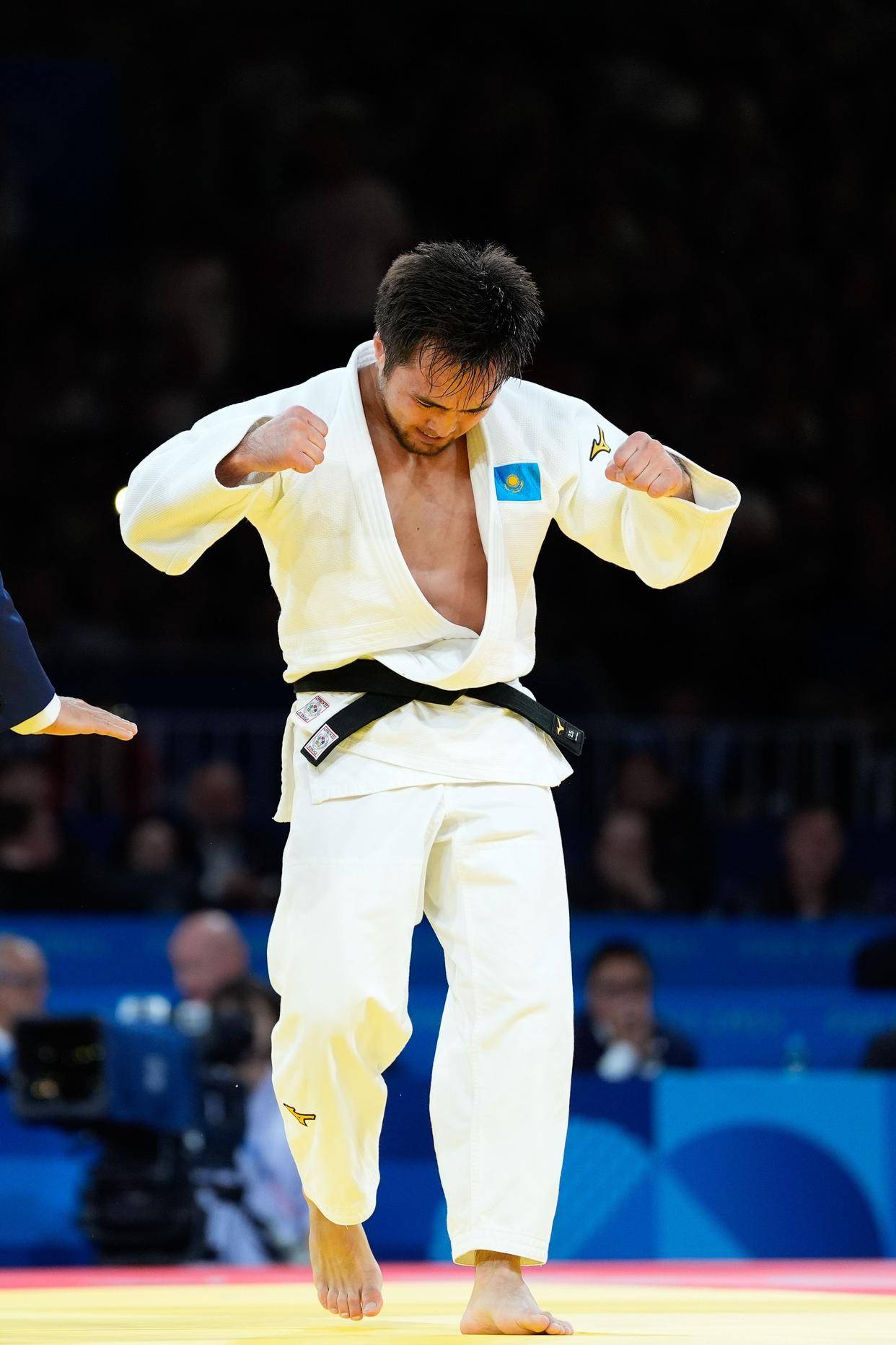 PG中国登录入口-法国柔道选手以高超实力摘得金牌，耀眼夺目