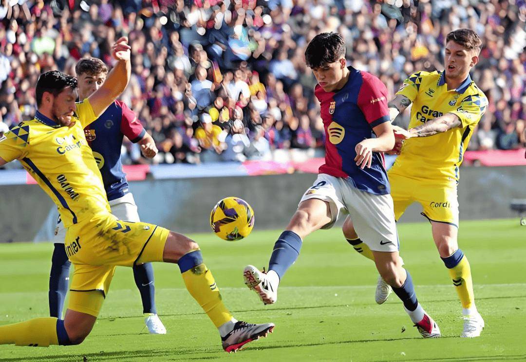 PG平台-里尔迎战昂热,主场拼尽全力的简单介绍